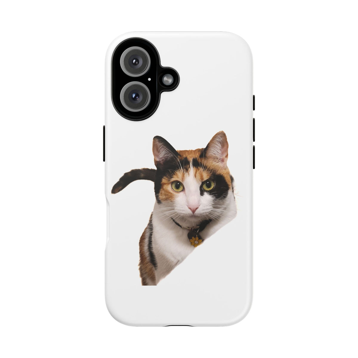 Calico Cat Photo Phone Case — Peek-a-Boo Pet Design for iPhone, Samsung & Pixel